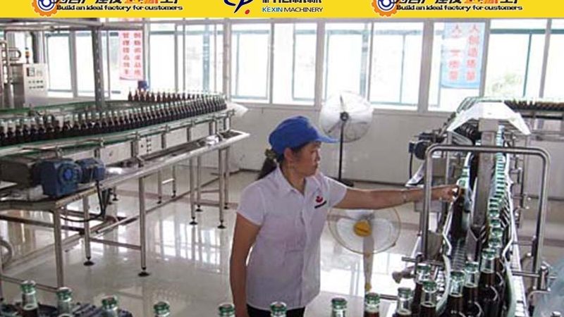 进口肉类加工设备型号参数解析：选购与适用场景**